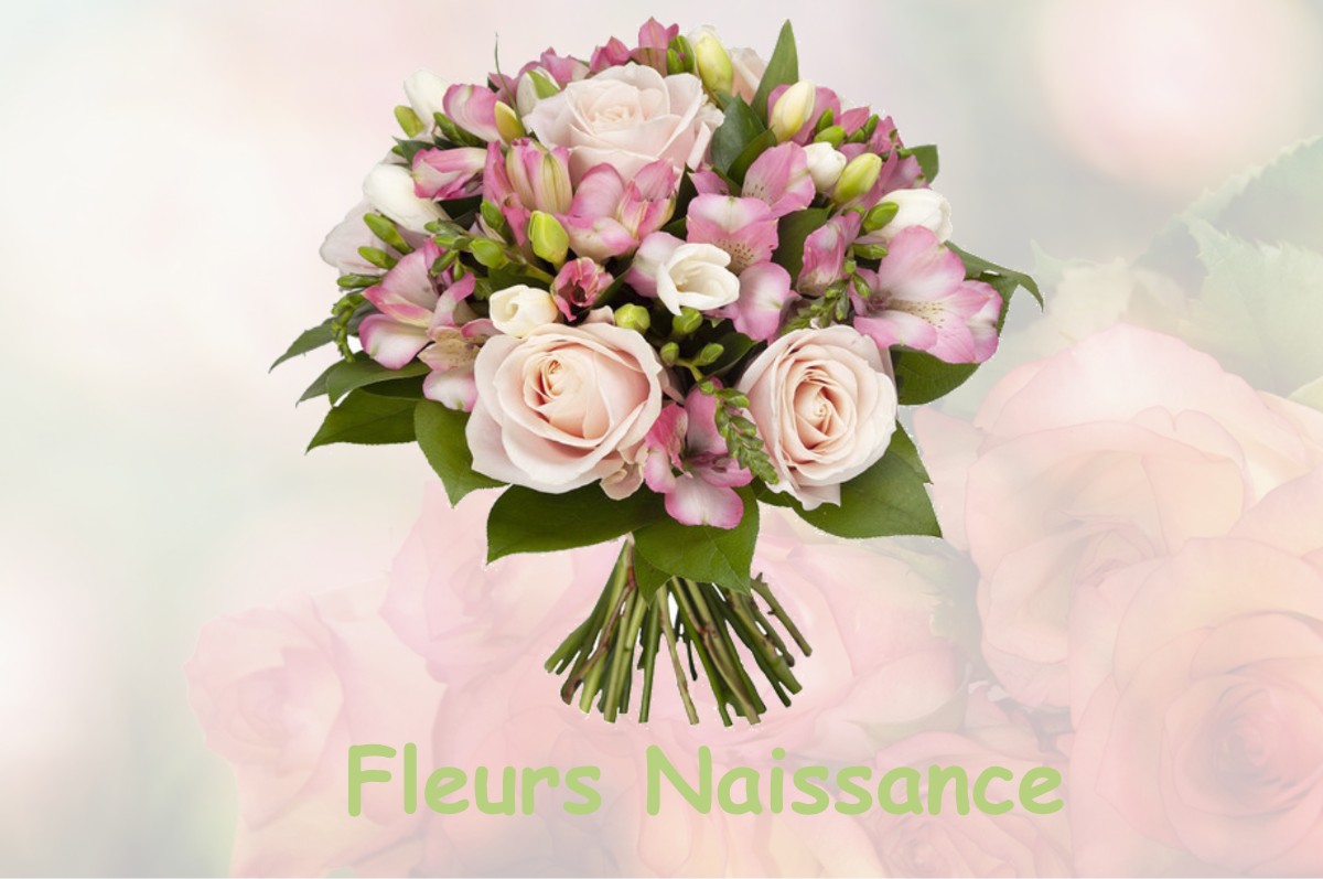 fleurs naissance VAUX-SUR-VIENNE