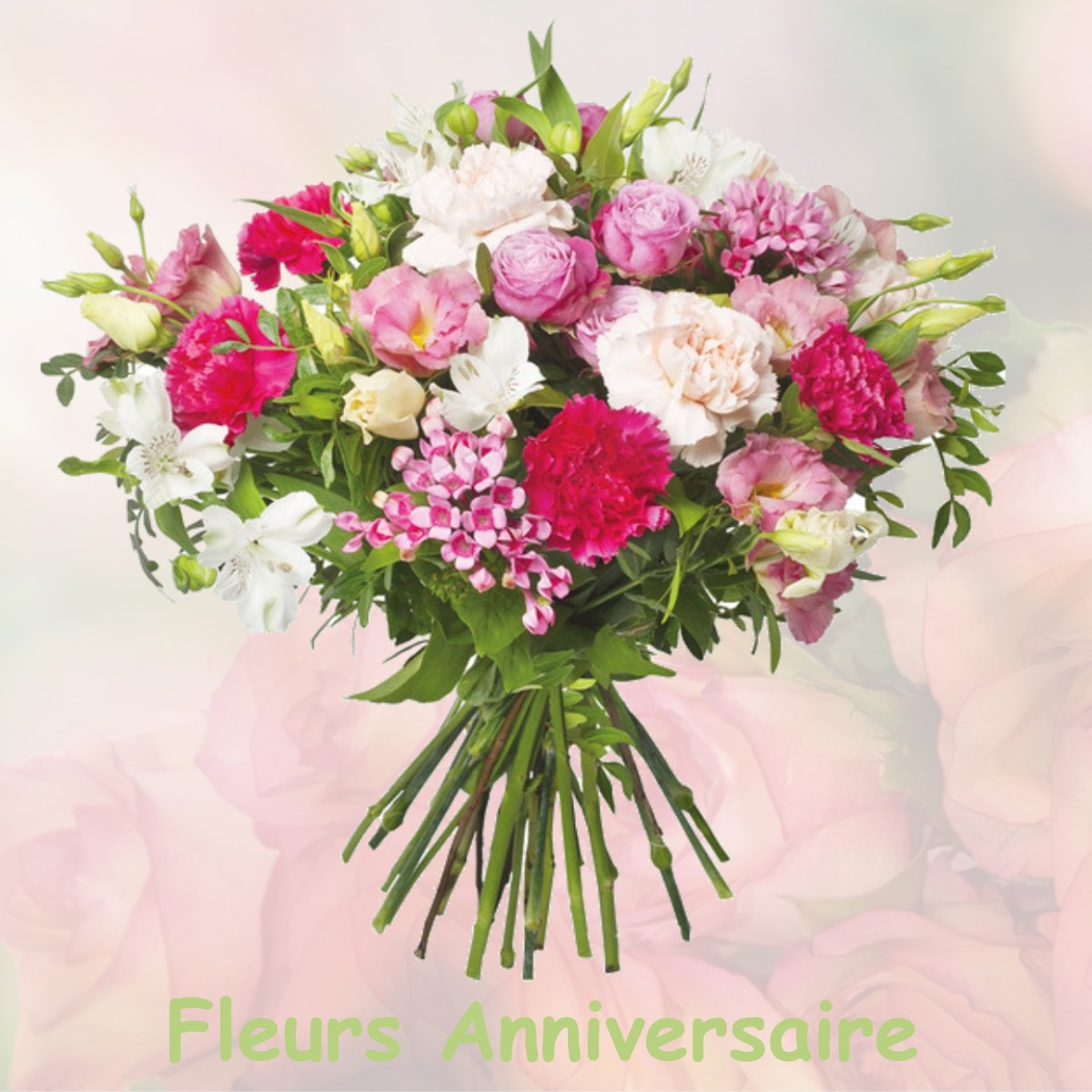fleurs anniversaire VAUX-SUR-VIENNE